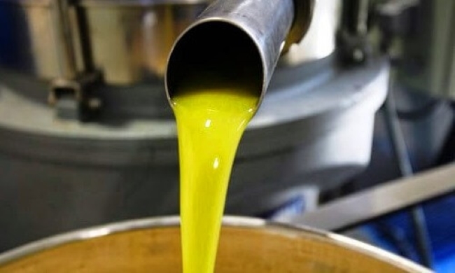 Siete AOVEs producidos por empresas de la comarca de Priego premiados en el concurso internacional L'Olive D'Or de Canadá