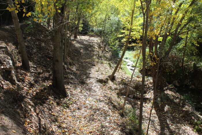El Ayuntamiento de Almedinilla limpia el tramo urbano del río Caicena