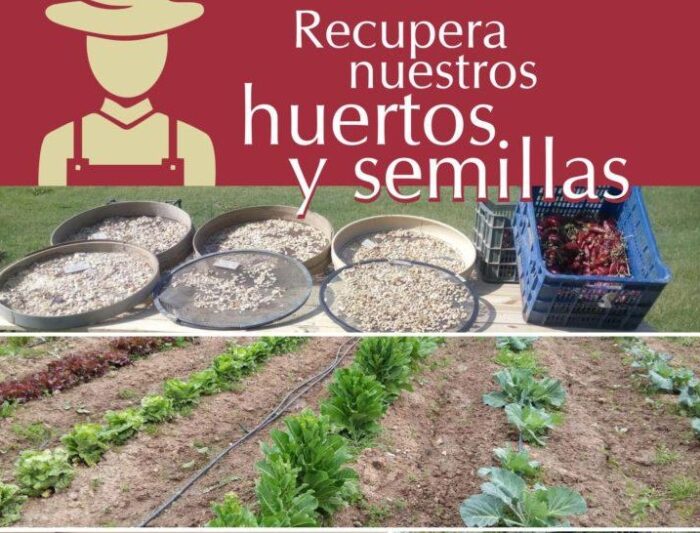 Consigue, dona o intercambia semillas y recupera la huerta tradicional de nuestra provincia