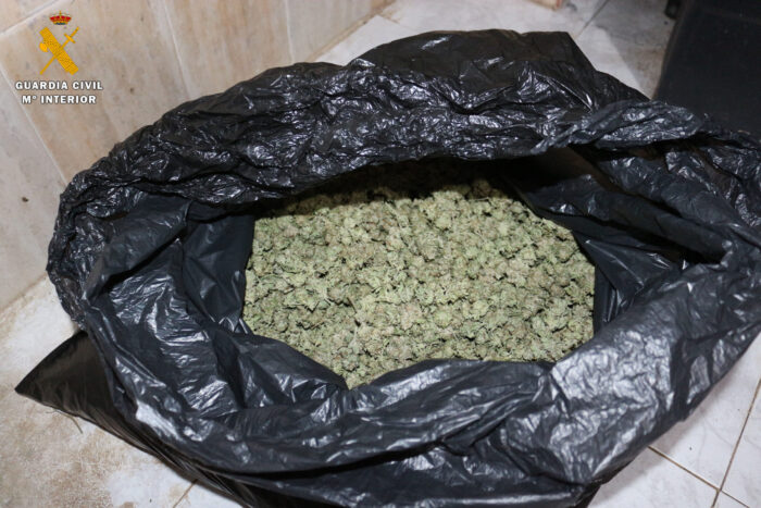 La Guardia Civil desmantela una plantación de marihuana en Palma del Río y detiene a una persona