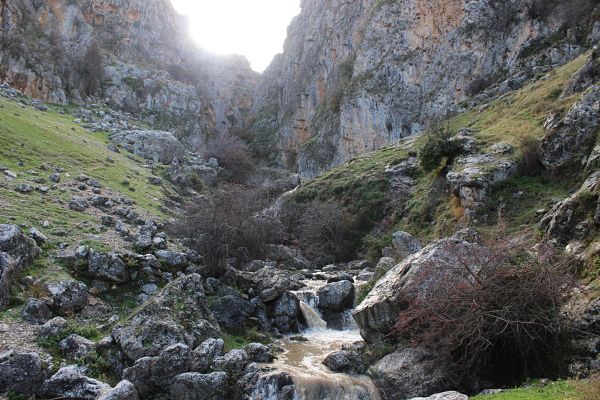 Dispositivo especial durante el puente de Andalucía para controlar el sendero del Río Bailón