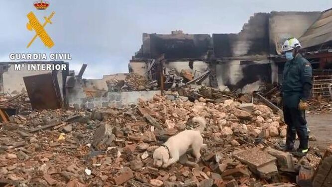 Analizan en Granada los restos biológicos encontrados por los perros en el cortijo del escultor de Moclín