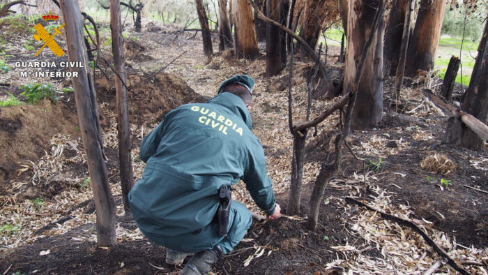 El SEPRONA de la Guardia Civil de Baena investiga a una persona como supuesta autora de un delito de incendio forestal