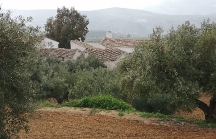 Aparecen restos de un asentamiento romano en Sileras
