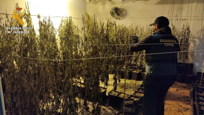 La Guardia Civil desmantela una plantación de marihuana en Posadas y detiene a cinco personas