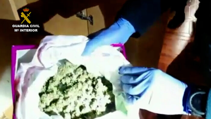La Guardia Civil detiene en Baena a seis personas por varios delitos relacionados con el cultivo de drogas