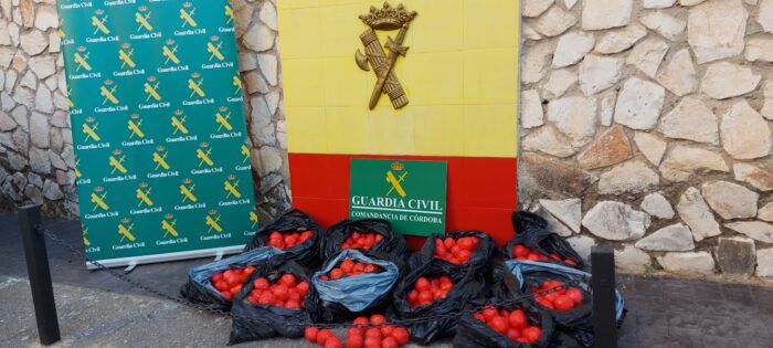 La Guardia Civil detiene a una persona en Lucena como supuesta autora de un delito de tráfico de drogas