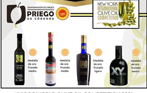 Cuatro aceites de oliva virgen extra de la DOP Priego de Córdoba, premiados en el Concurso Internacional NYIOOC