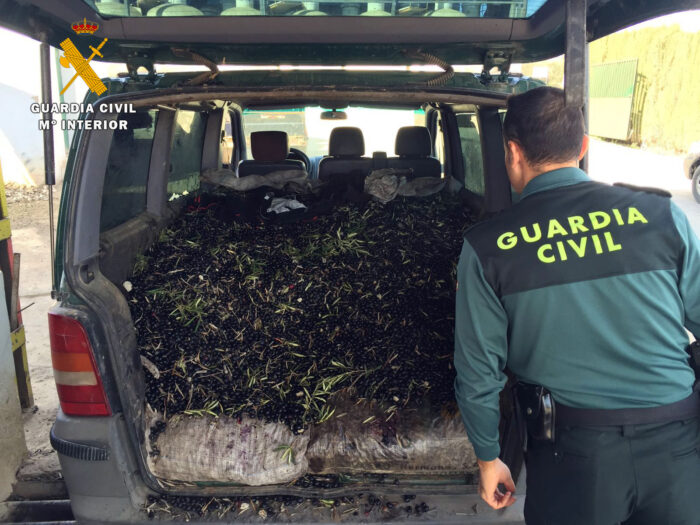 La Guardia Civil interviene en Adamuz más de 9 toneladas de aceituna e investiga a seis personas por apropiación indebida y falsedad documental