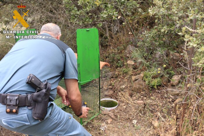 EL SEPRONA investiga a una persona en La Granjuela como supuesto autor de un delito contra la flora, la fauna y los animales domésticos
