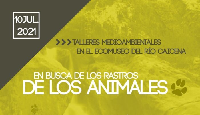 Talleres Medioambientales en el Ecomuseo