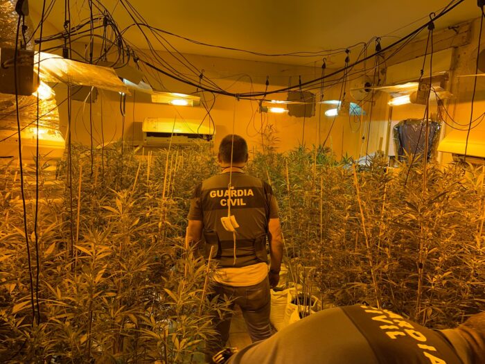 La Guardia Civil desmantela dos plantaciones de marihuana en Almodóvar del Río y detiene a dos personas
