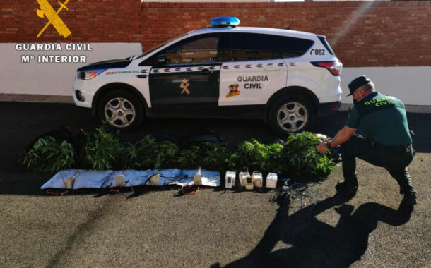 La Guardia Civil desmantela una plantación de marihuana en Fernán Núñez y detiene a una persona