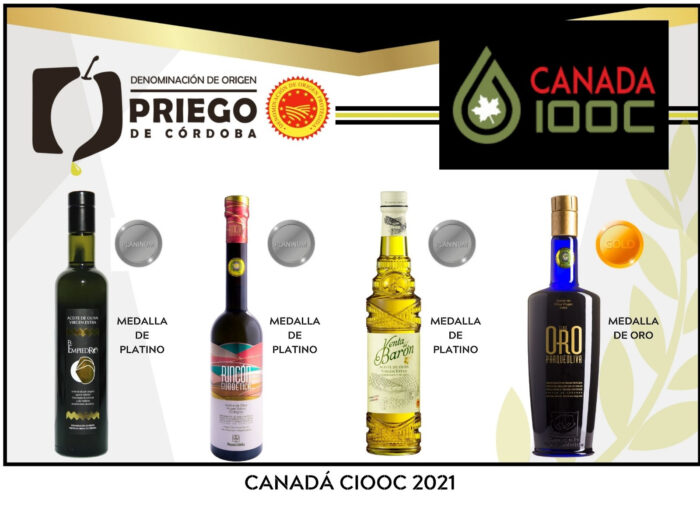 Cuatro AOVE’S amparados bajo la D.O.P. Priego de Córdoba galardonados en Canadá