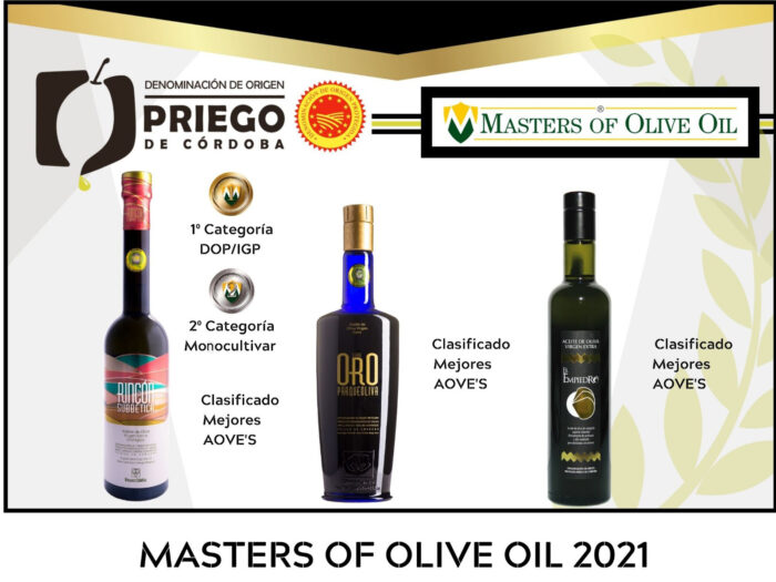 Tres AOVE’S de la D.O.P. Priego de Córdoba reciben un merecido reconocimiento en el Concurso Internacional MASTERS OF OLIVE OIL