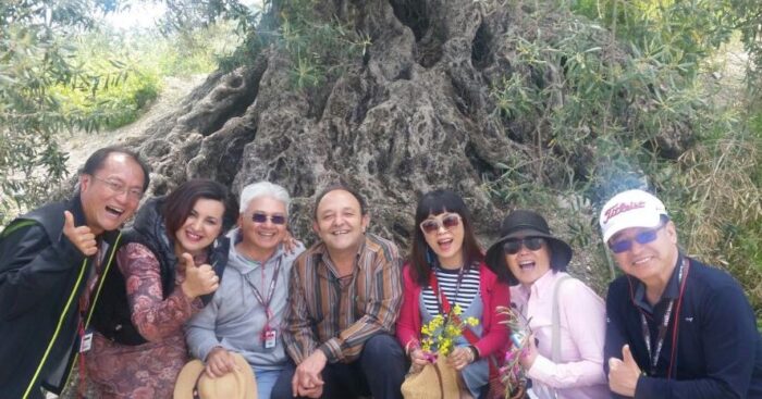 Del mar de olivos cordobés a la Torre de Hércules en a Coruña