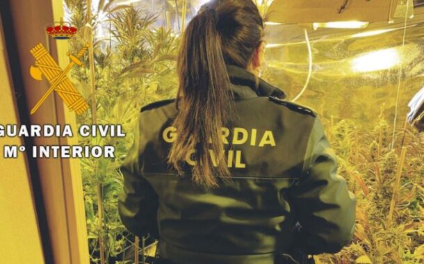 La Guardia Civil desmantela una plantación de marihuana tipo “indoor” de alto rendimiento en La Carlota