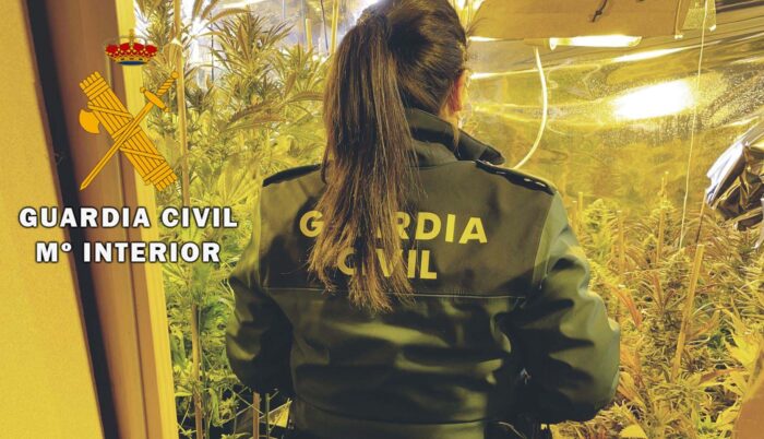 La Guardia Civil desmantela una plantación de marihuana tipo “indoor” de alto rendimiento en La Carlota
