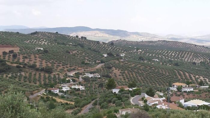 Almedinilla tiene la segunda tasa de incidencia de Covid-19 más baja de este mes de marzo