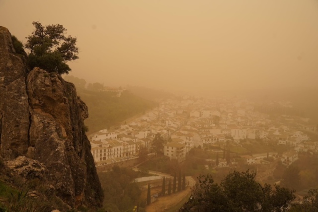 La lluvia amarilla