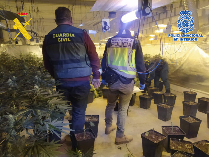 La Guardia Civil y la Policía Nacional desmantelan en Monturque una plantación de marihuana tipo “indoor” de alto rendimiento