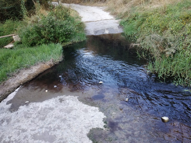 Aparecen oscuras las aguas del río Caicena a su paso por la aldea de Los Ríos