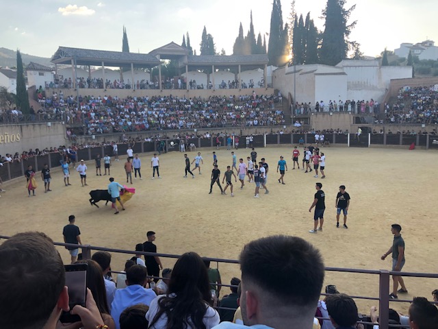 Finaliza la Feria Real más larga de los últimos tiempos de Almedinilla