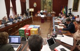 El Pleno de la Diputación de Córdoba aprueba de manera inicial el ‘Plan + Municipalismo’, dotado con cinco millones de euros