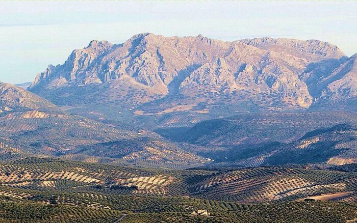 La Junta Rectora del Parque Natural de las Subbéticas aprueba su Plan de Objetivos para 2023