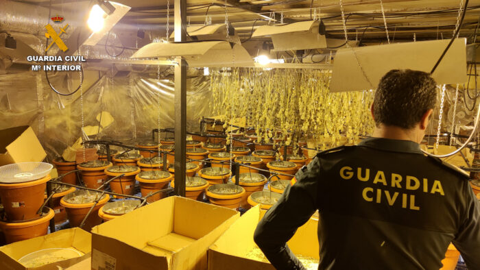La Guardia Civil detiene a tres vecinos de Lucena y desmantela una plantación de marihuana