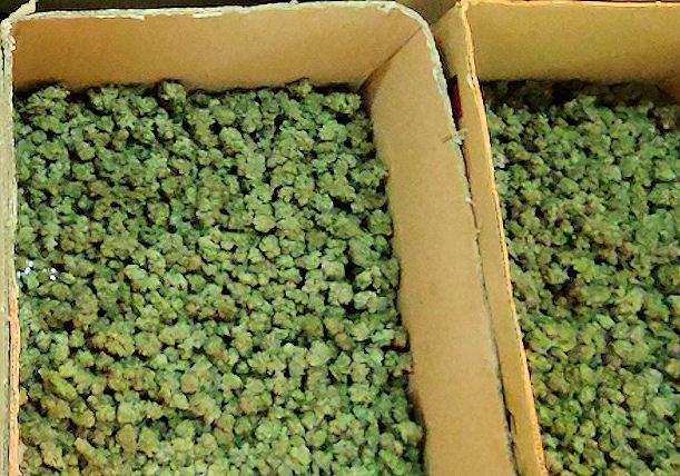 La Guardia Civil desmantela otro punto de venta de drogas en Baena
