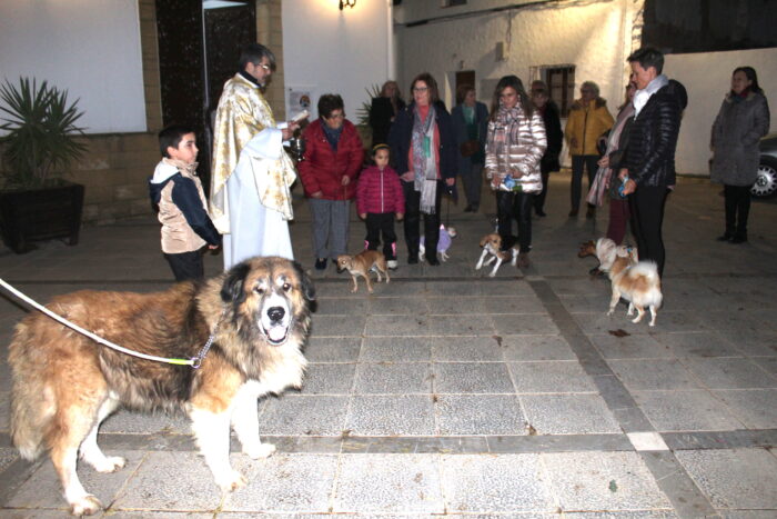 Los vecinos de la aldea de Las Sileras celebran la festividad de San Antonio Abad