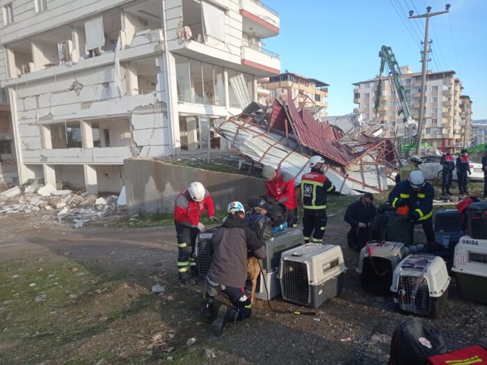 Efectivos de los parques de bomberos de Priego de Córdoba, Baena y Lucena se han trasladado hasta Turquía para participar en labores de rescate