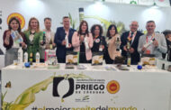 Los AOVE’s de la DOP Priego de Córdoba estarán presentes en Salón Gourmet 2023