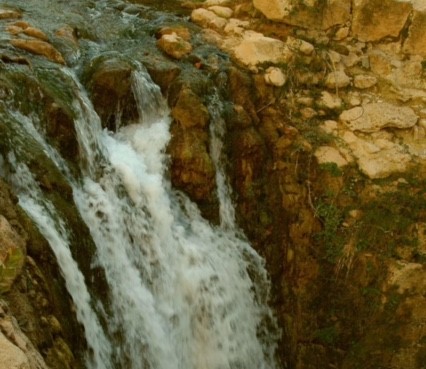 La Presa del Molino de las Claras en el Caicena ¿su deficiente mantenimiento le puede hacer desaparecer?