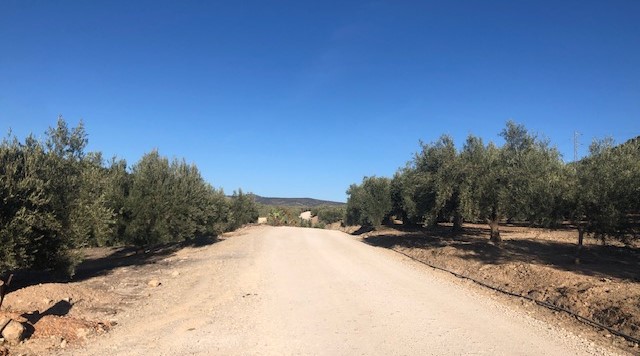 El Ayuntamiento de Almedinilla solicita la Desafectación de la Vía Pecuaria “14004004 – Colada del Camino de las Chozas