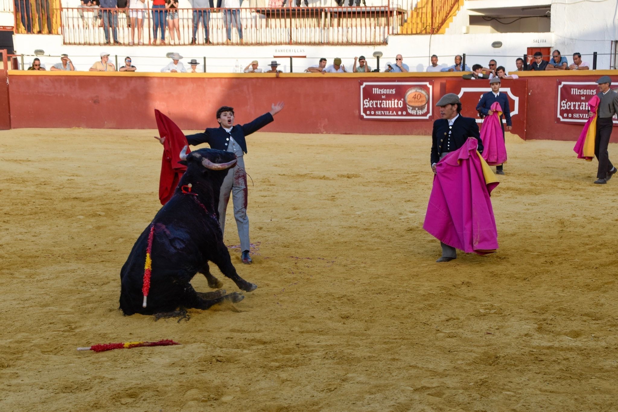 Manuel Domínguez arma un auténtico lío en la novillada de Guillena