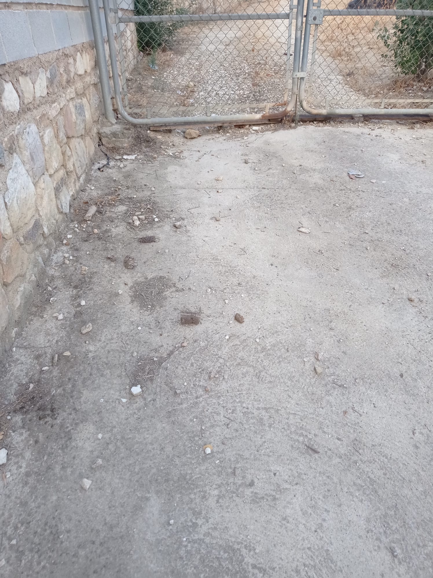 Queremos llamar la atención sobre la preocupante situación en la calle Cañada de Sevilla, donde parece que los excrementos de perro se han convertido en un inconveniente constante. 💩