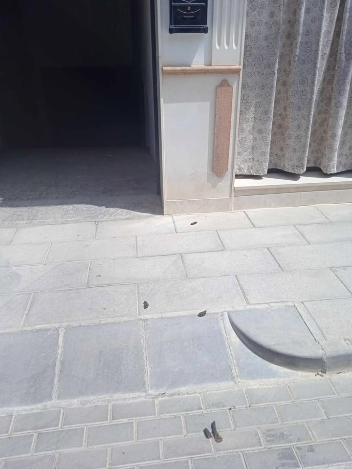 Vecinos de la Calle Escala de Almedinilla vuelven a denunciar la falta de civismo de algunos dueños de mascotas
