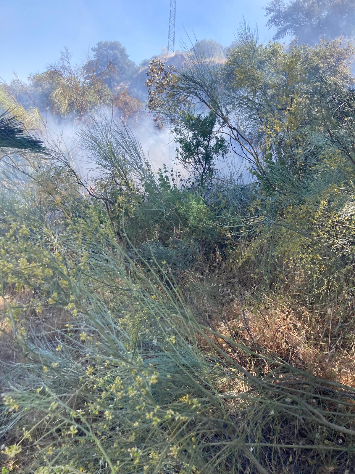 Un incendio calcina entre 6.000 y 7.000 metros cuadrados en Las Llanás de Almedinilla