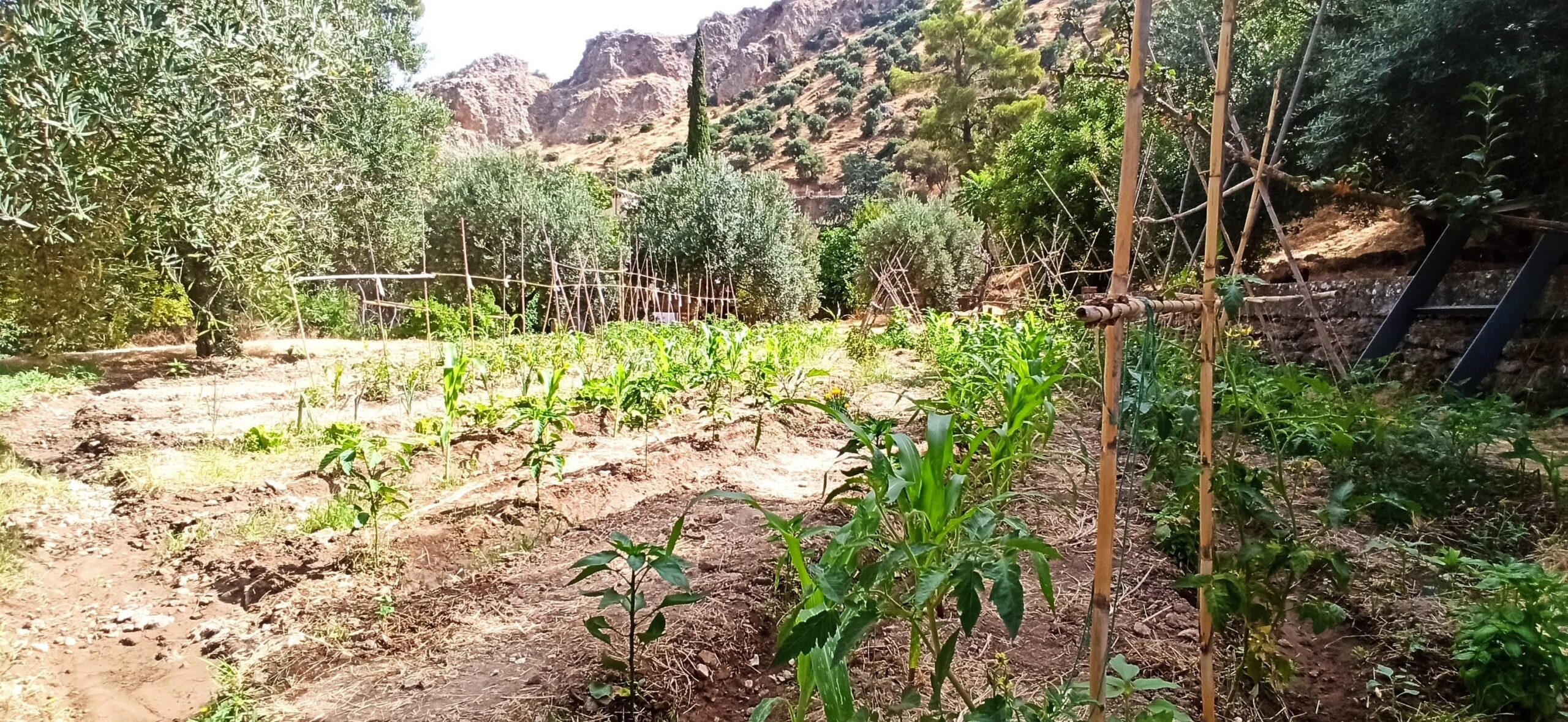 ¡MÁS FUEGO!