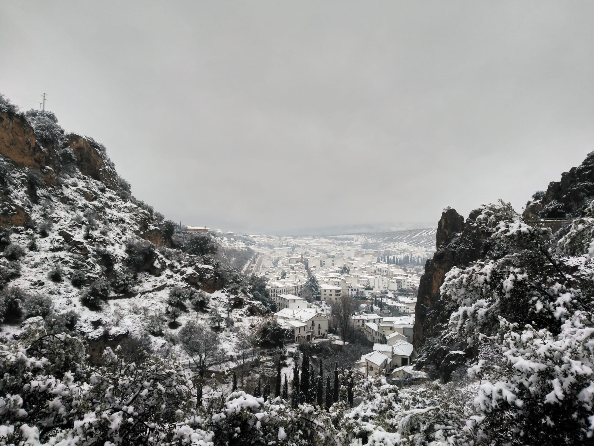 Sobre la vida y la angustia existencial de un muñeco de nieve